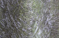 High Bradfield fibreglass roof work